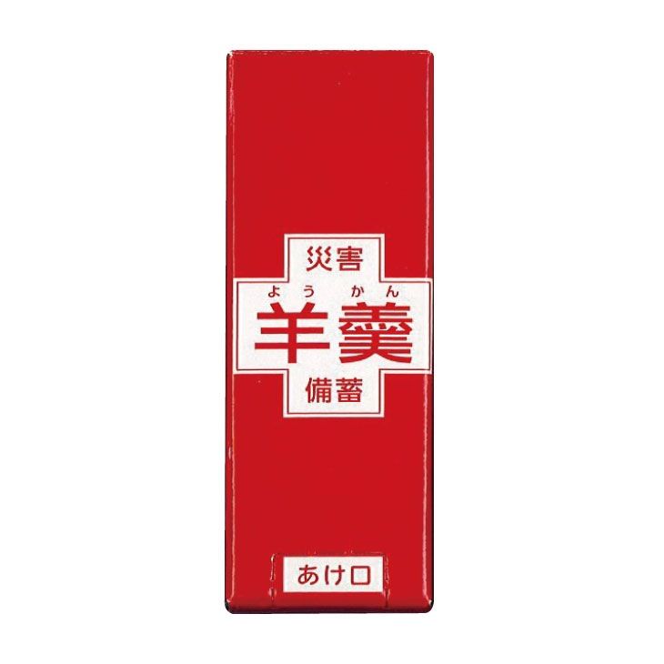 防災士が選んだオリジナル防災用品38点セットDX 防災リュック
