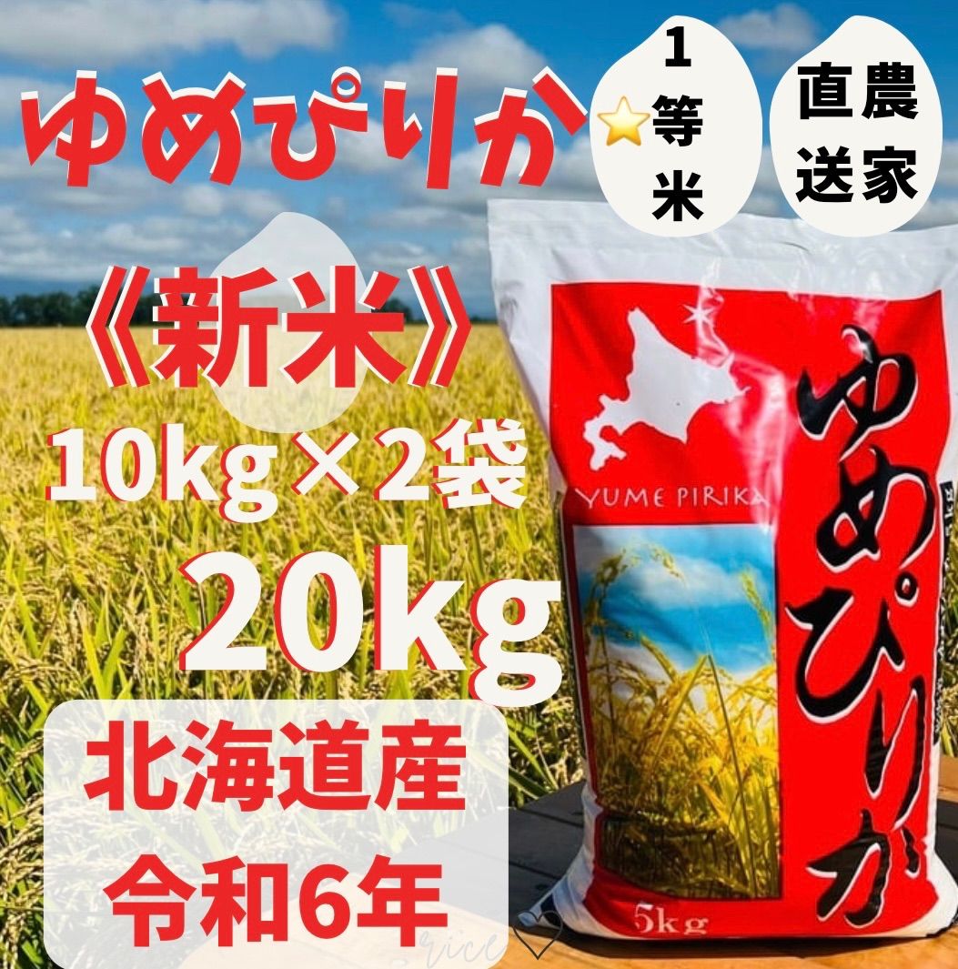 【高騰品種】2シーザー×レッドキャットウィーズル hyb 極上強棘陽炎 アガベ 高騰品種】2 シーザー×レッドキャットウィーズル hyb 極上強棘陽炎