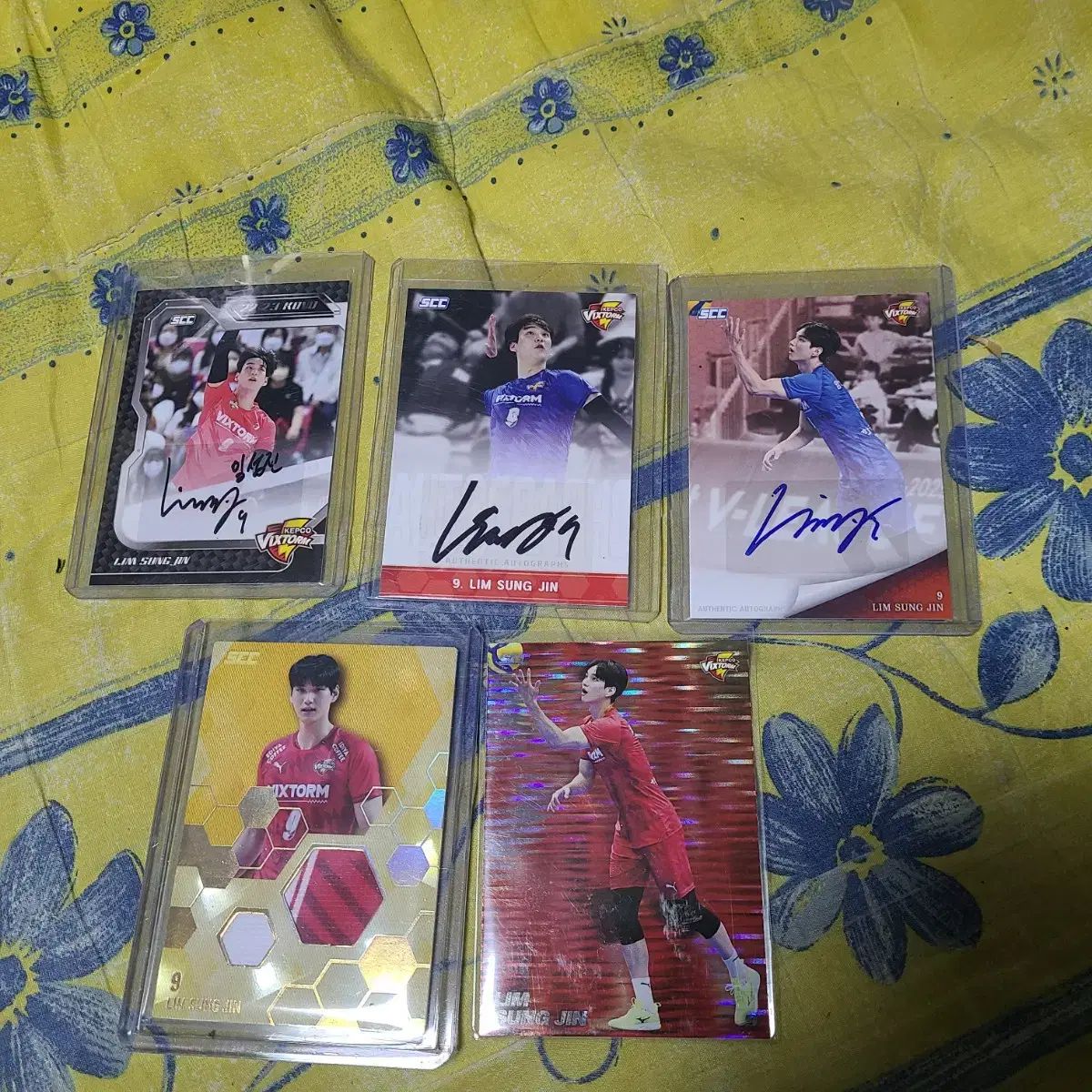 韓国 男子バレーボール 한국전력 イムソンジン 直筆サイン