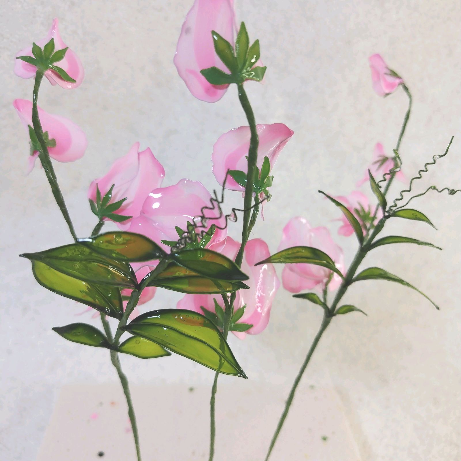 アメリカンフラワースィートピー（同色3本） - メルカリ