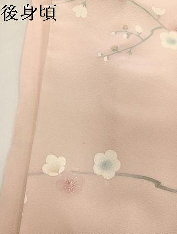 平和屋着物○十日町友禅作家 松雨 訪問着 枝花文 暈し染め 金銀彩 正絹  