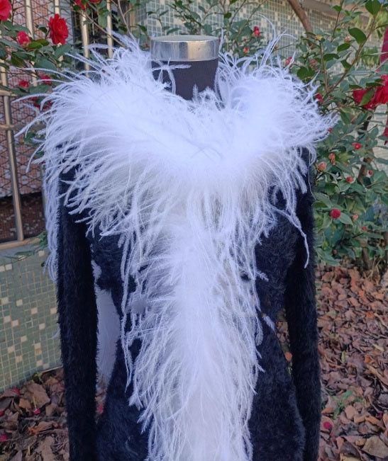 ダンスウェア ラテンダンス 舞台 発表会 ダンス衣装 社交ダンス オーストリッチフロート 羽根 社交ダンス DIY オーダーメイド LLC-HASEGAWATOSO_COM