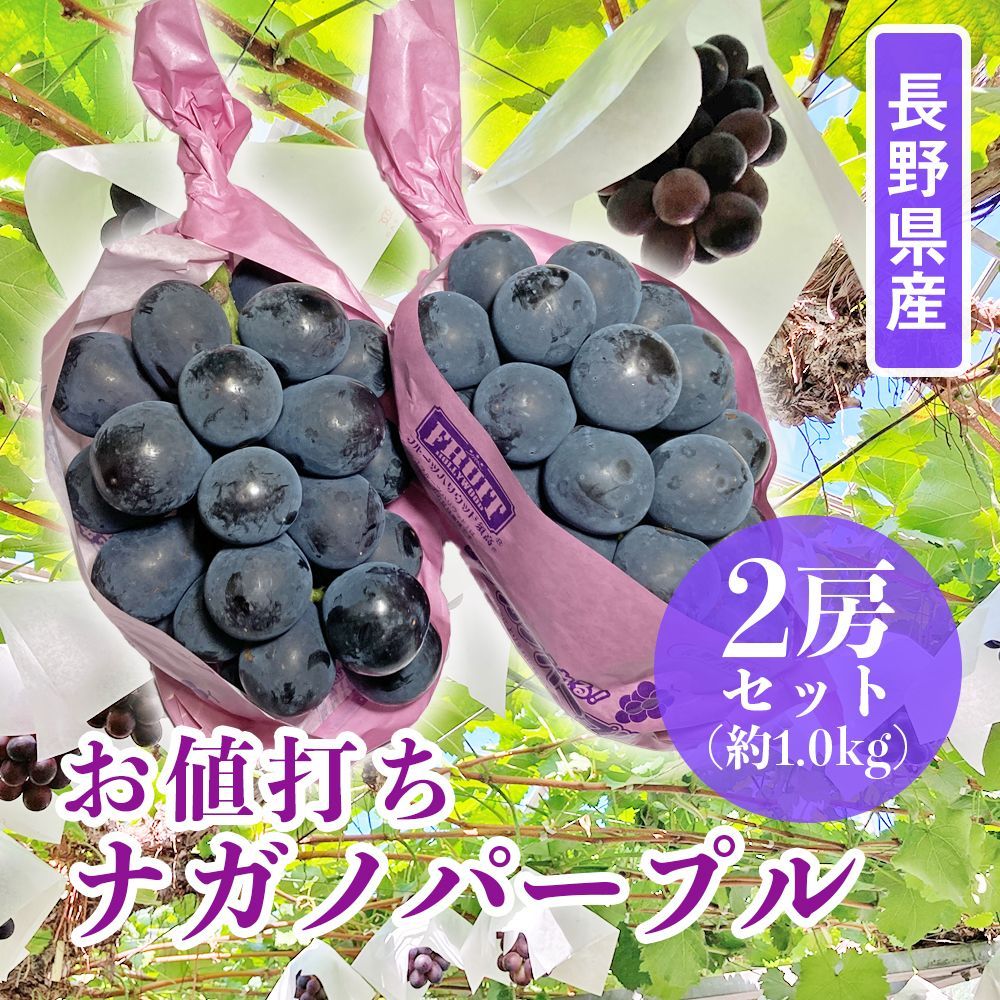 お値打ち品 ナガノパープル 長野県産 約1.0kg 2房 秀品 クール便 丸進