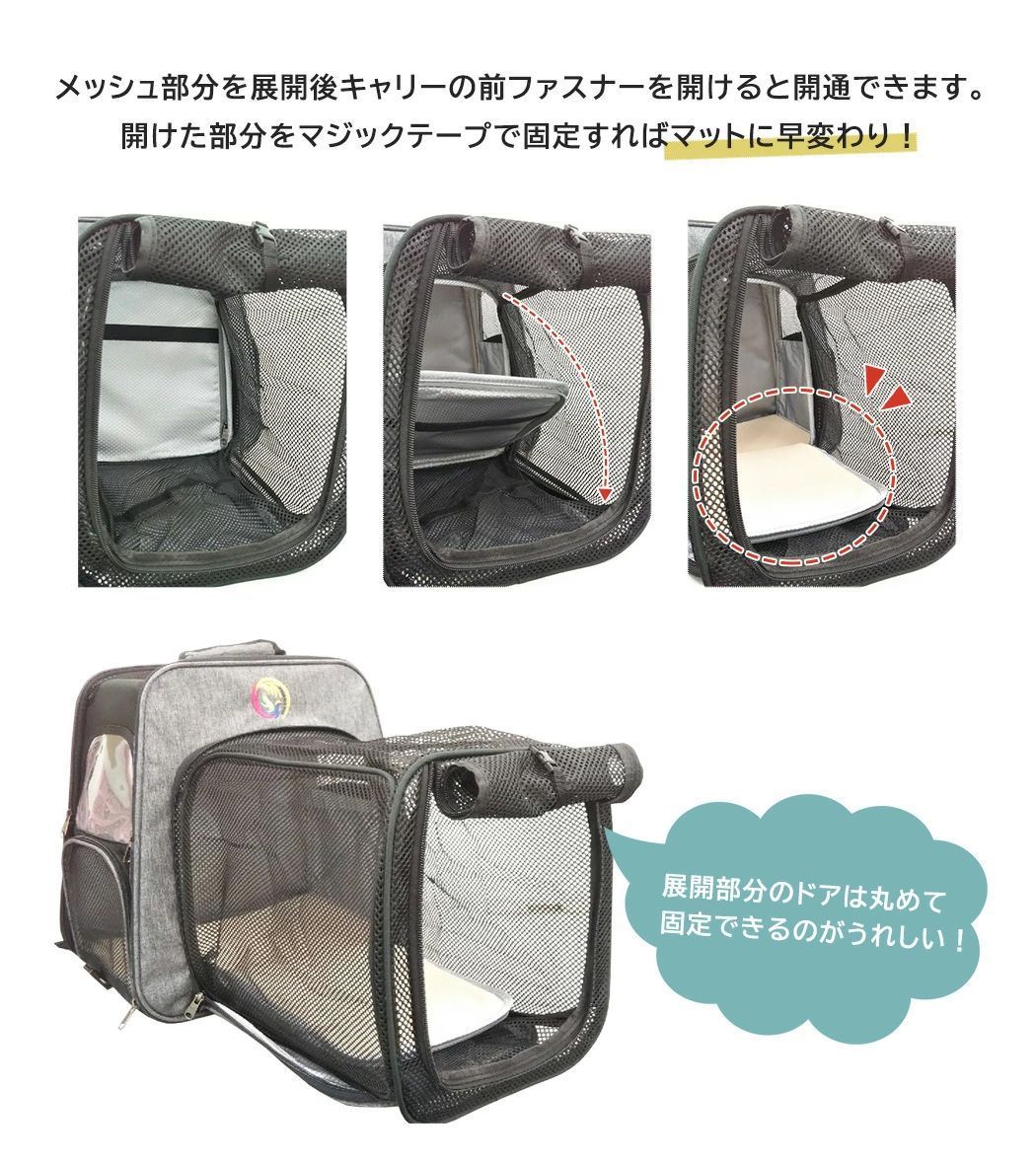 猫 小型犬