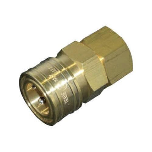 フィリップボールナール ル・ガルド・コー2009年