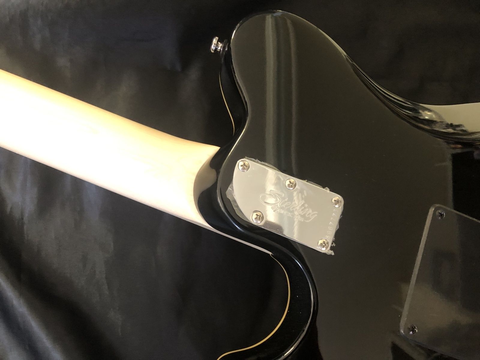 Sterling by Musicman / AX40 AXIS Transparent Gold（新品