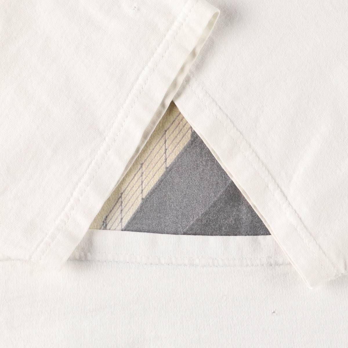 古着 90~00年代 フルーツオブザルーム FRUIT OF THE LOOM TITANIC  