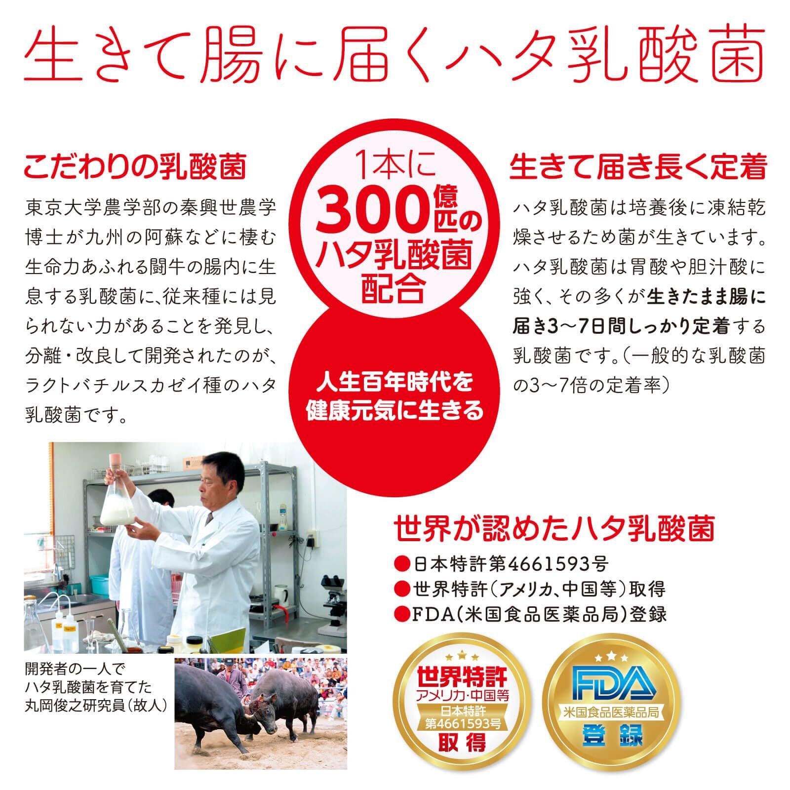 ハタ乳酸菌 2g×30包
