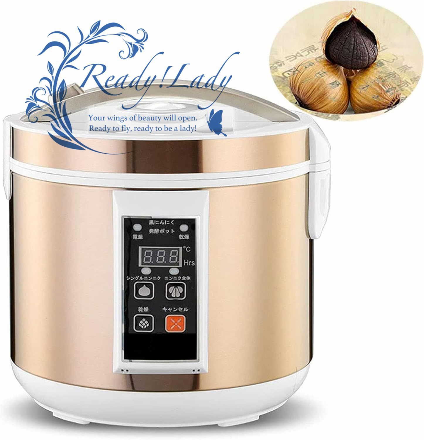 駿台 テキスト 特別選抜クラス 教材まとめ売り SX SAクラス 駿台