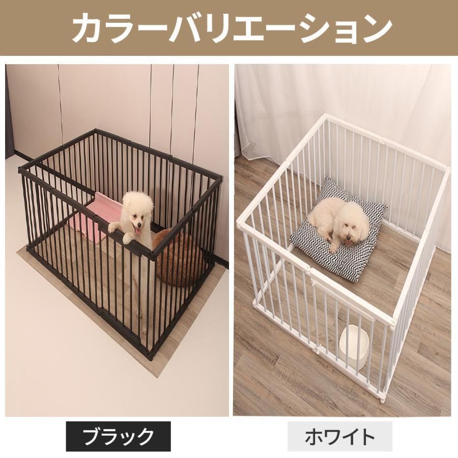 4枚 12枚