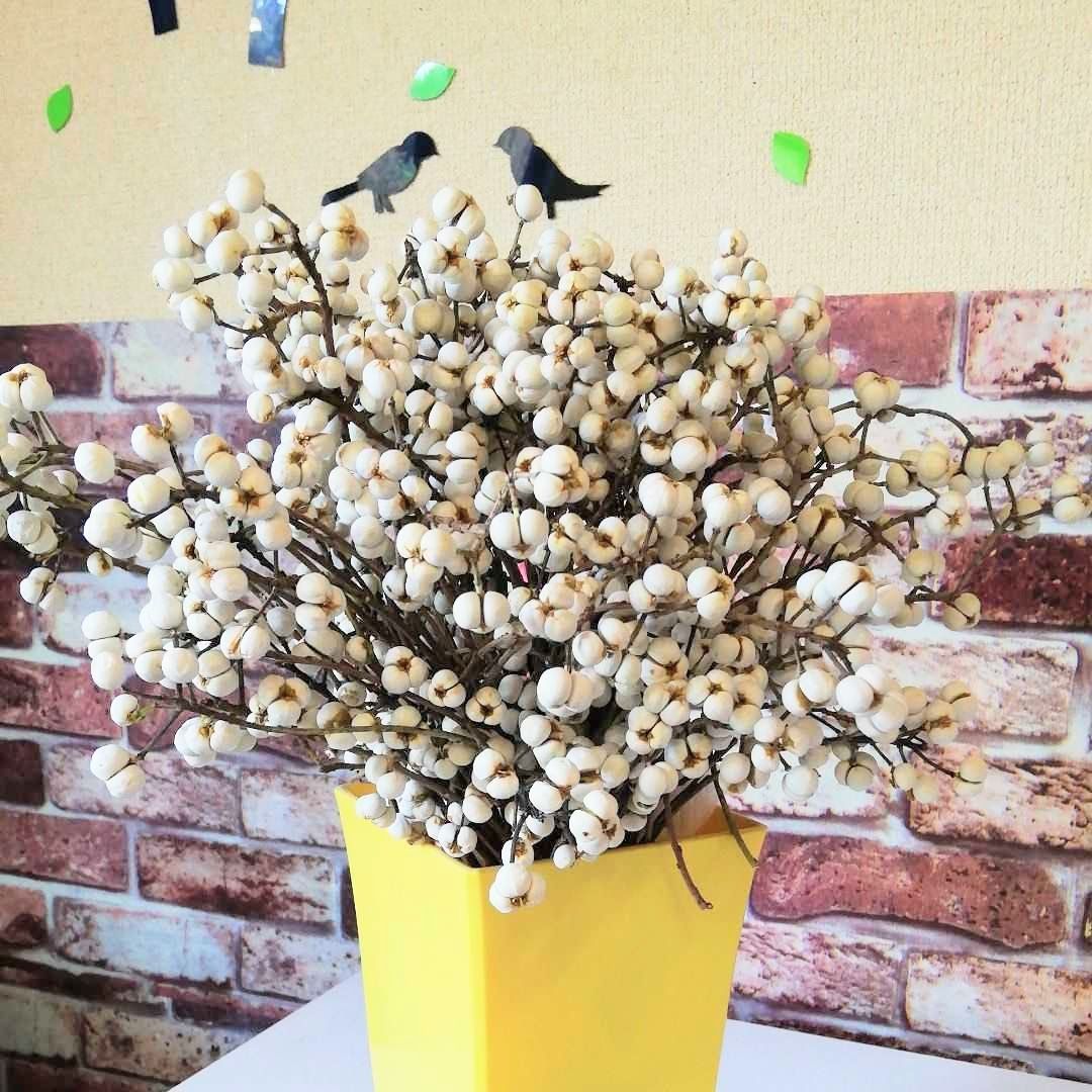 早期予約2025.。ナンキンハゼ。ナンキンハゼの実。素材パーツ