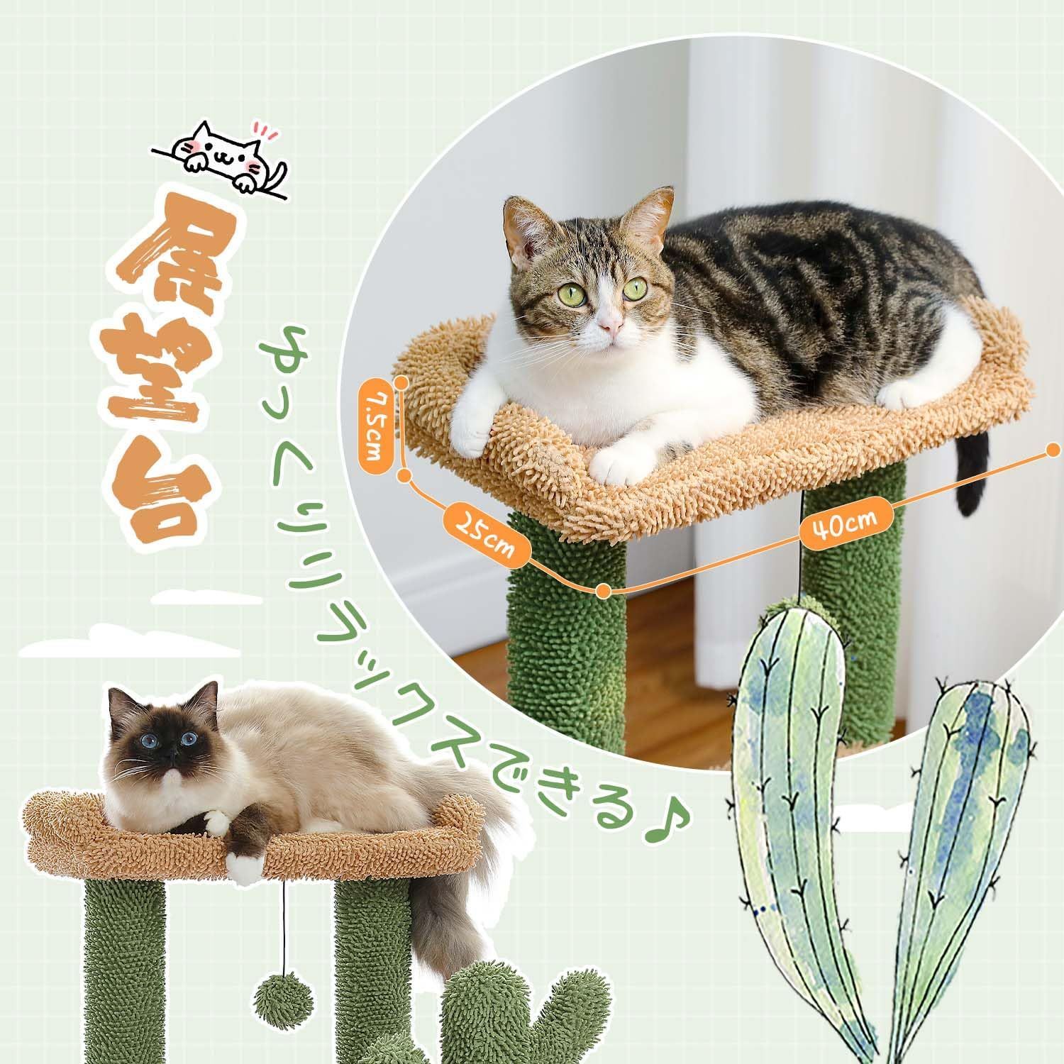 キャットタワー