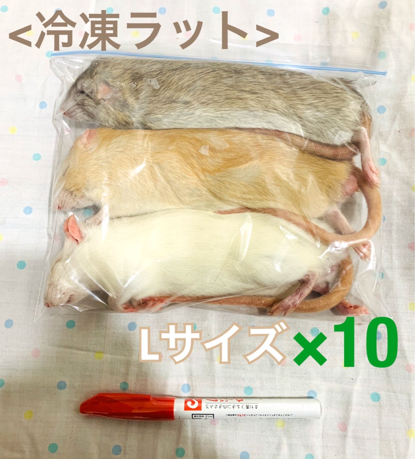 Lサイズ 冷凍ラット 10袋