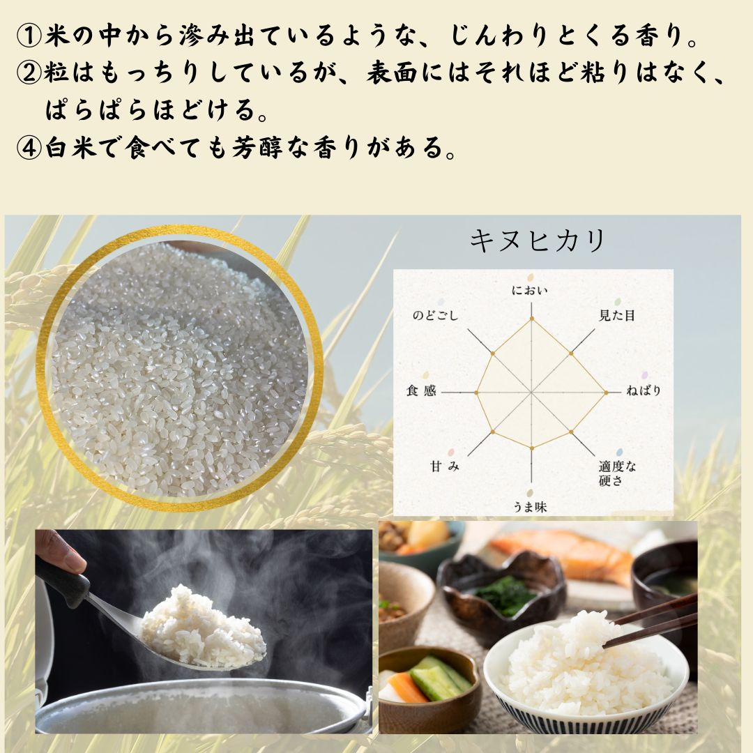 無農薬栽培 令和5年度 新米【玄米・白米選べます】愛媛県産 お米 きぬ