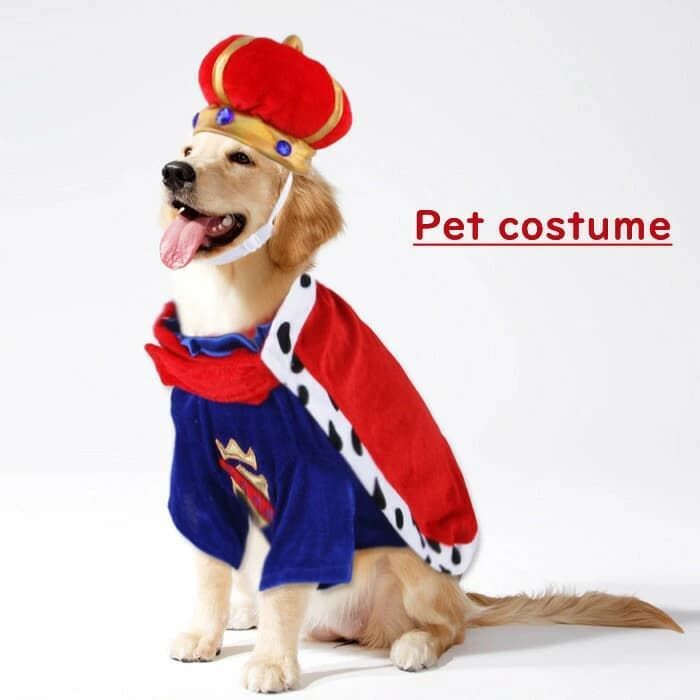 激レア王様のブランチ ランチちゃん ハロウィン 犬 かわいい ペットコスチューム 王様 王子様 S M L XL 3点セット 即購入OK