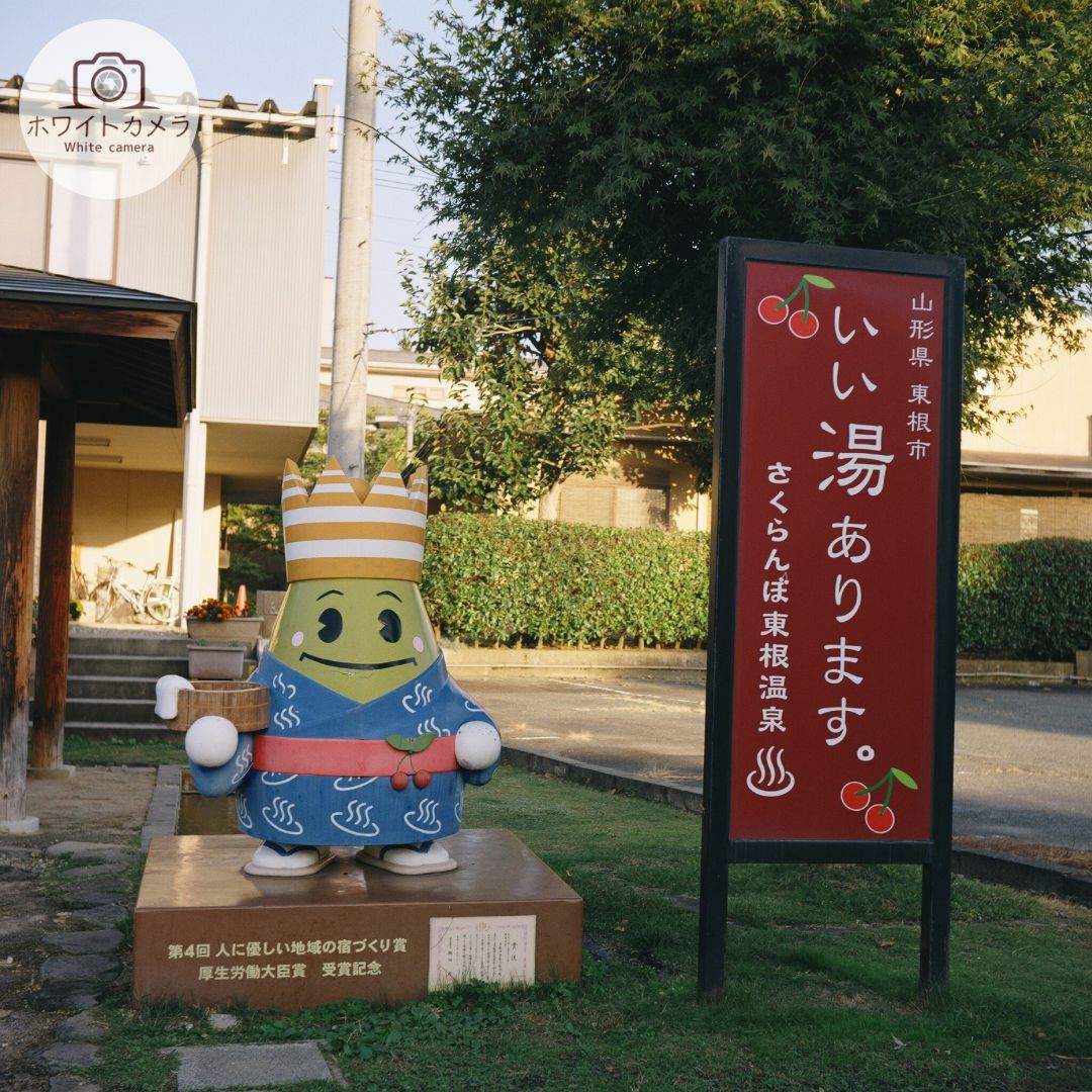 DIA リコーフレックス