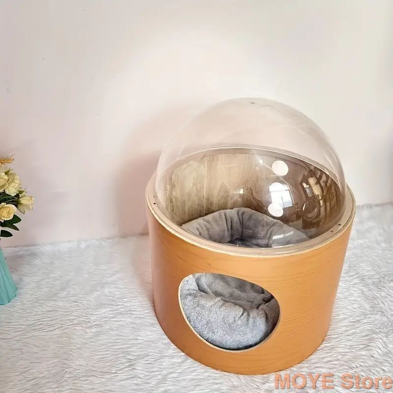 小型猫 中型猫