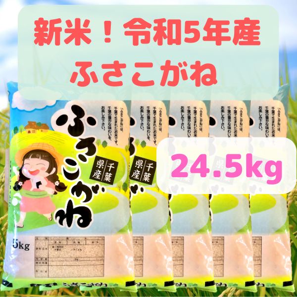 新米！ 令和５年産 ふさこがね 24.5kg 千葉県の美味しい減農薬栽培のお