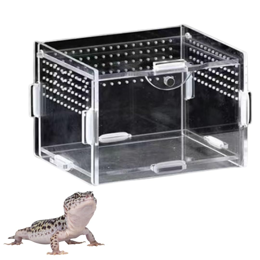 爬虫類ケージ 730×400×300 爬虫類ケージ 730×400×300 Amazon | Reptile Growth 爬虫類