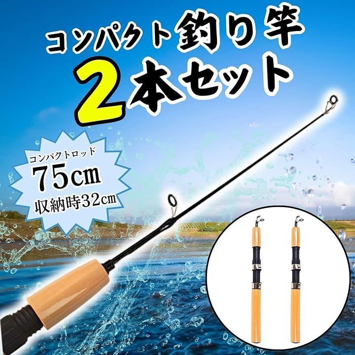 釣り竿 2本 セット 75cm コンパクトロッド 振り出しロッド 穴釣り ワカサギ サビキ 小物 短い 小型 釣竿 子供 キャンプ