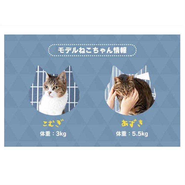 ゲージ