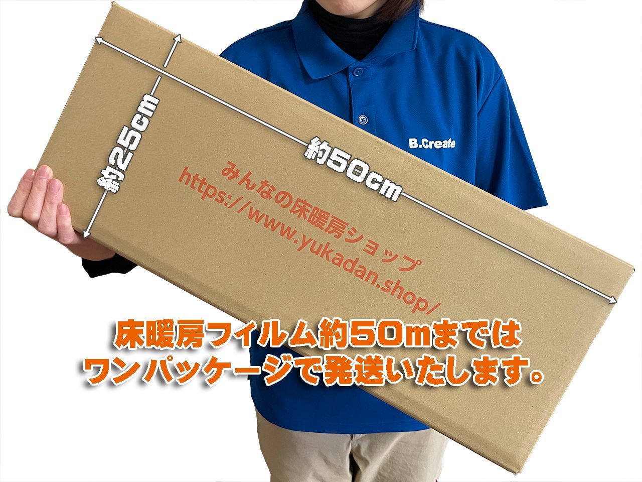 Wi-Fi対応コントローラー付き