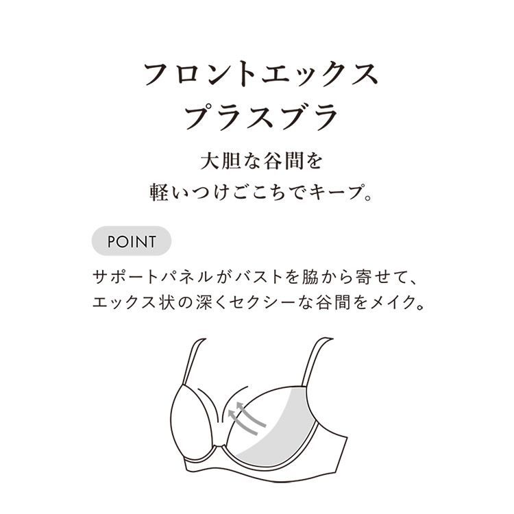 ブラジャー単品 CDEFGカップ