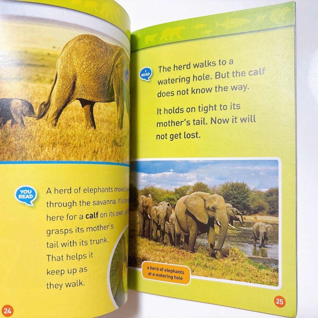 National Geographic Kids Level1 46冊 英語絵本 音源付き