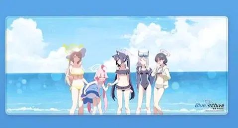 ブルーアーカイブ -Blue Archive- アビドス リゾート 特大 ロングパッド