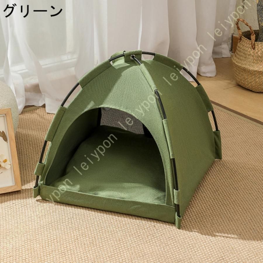 ドーム型