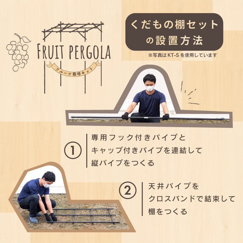 葡萄架 ぶどう棚