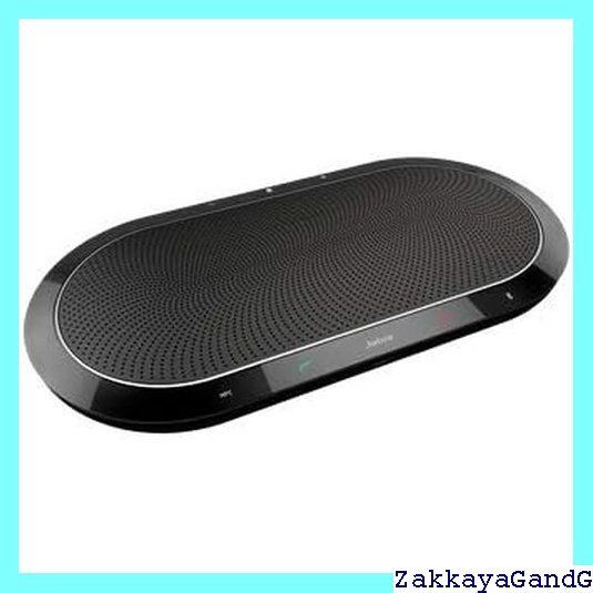 SPEAK810 MS