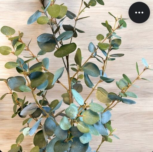 光触媒　人工観葉植物　ウォールグリーン　フェイクグリーン　ユーカリツリー100 光触媒 人工観葉植物 ウォールグリーン フェイクグリーン ユーカリ高さ