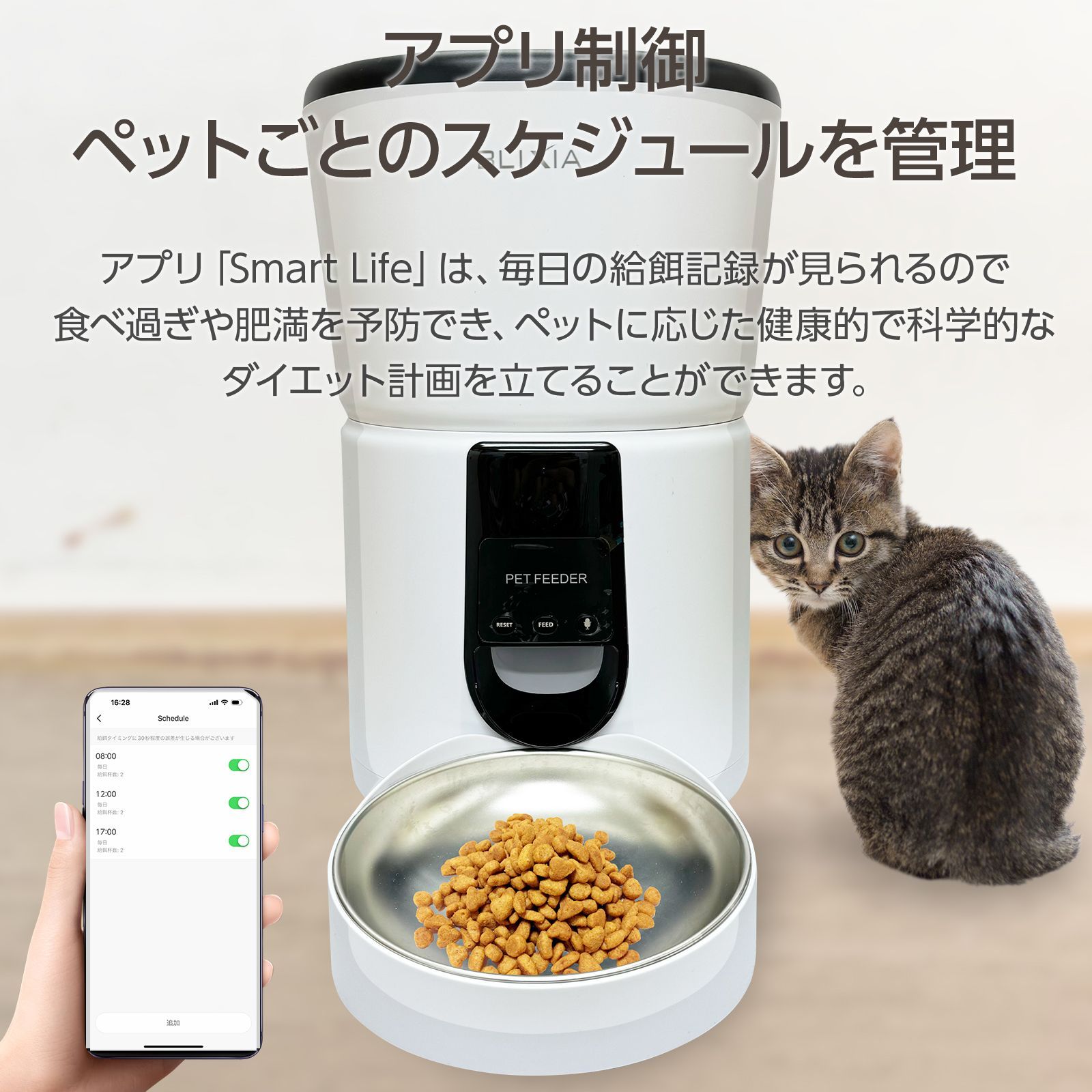 ブリシア公式