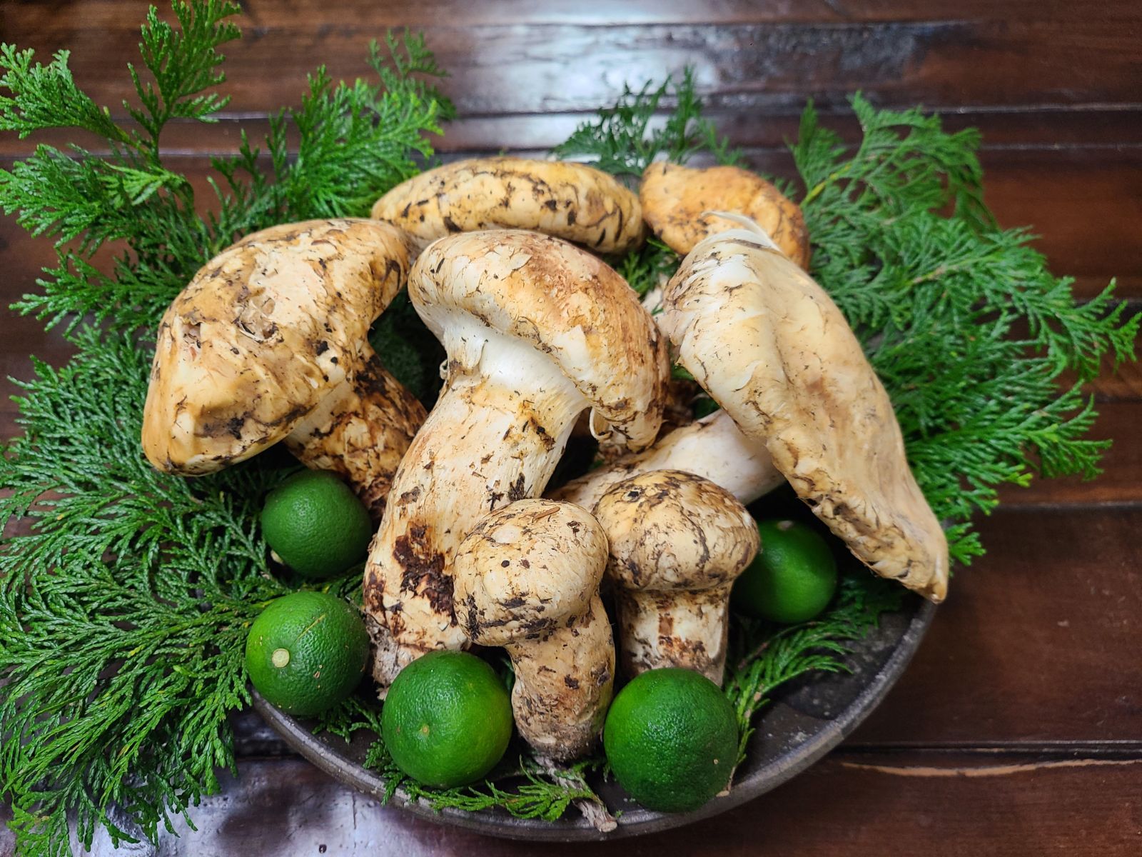 カナダ産3L 2L大 天然 つぼみ 半開き松茸 約500g 3 9本