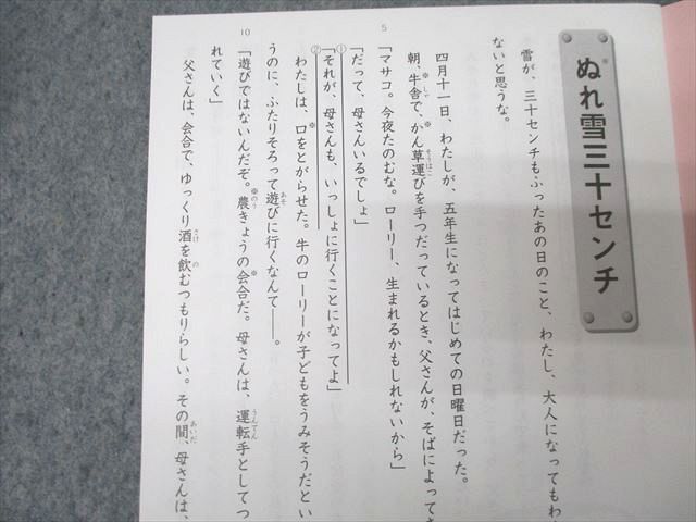SAPIX 小学3年 デイリー/サマー/ウインターサピックス 長文テキスト 問題編 計29回分セット 2020 118L2D SAPIX 小学3年 デイリー/サマー/ウインターサピックス 長文