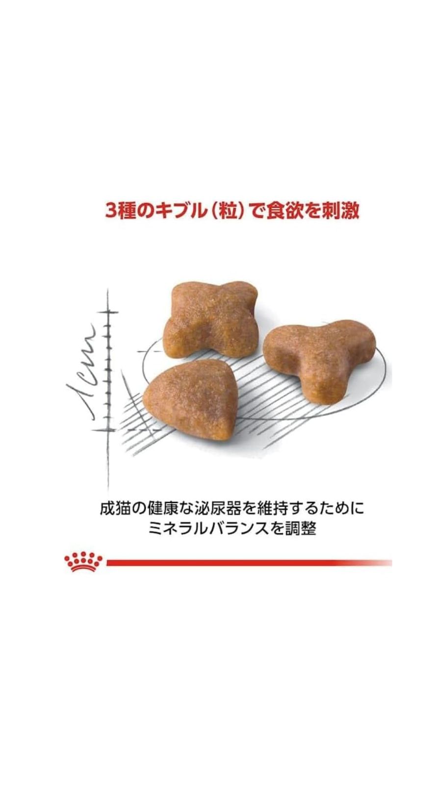 ロイヤルカナン センシブル 食が細くやせ気味の成猫用 4kg 4kg