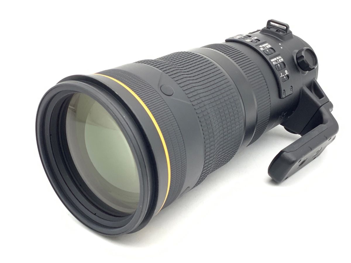 現品］N5 ストレリチアニコライ オーガスタ 10号 観葉植物 大型 室内