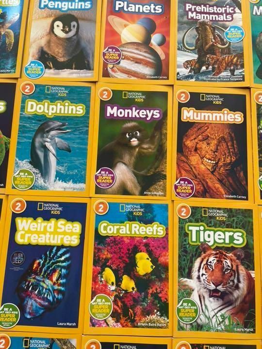 National Geographic Kids レベル2の全41冊　英語絵本 新品National Geographic Kids L2/41冊英語絵本 洋書 - 絵本