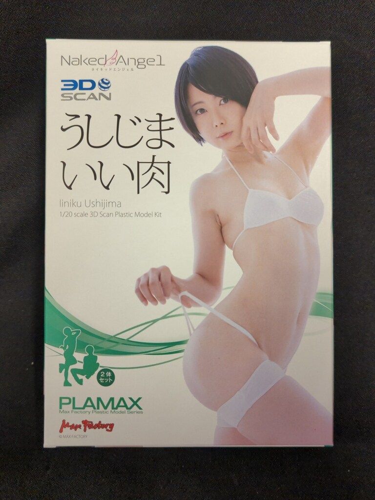 VF6653 未開封 ぬーどるストッパー ドロシー ノスタルジア 6個セット Amazon | 勝利の女神：NIKKE ぬーどるストッパーフィ*ギュア