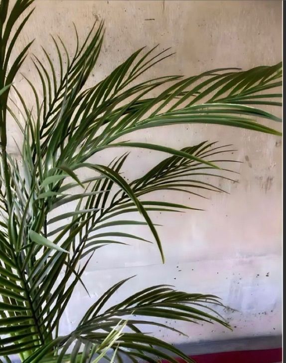 光触媒 人工観葉植物 ウォールグリーン フェイクグリーン アレカヤシ