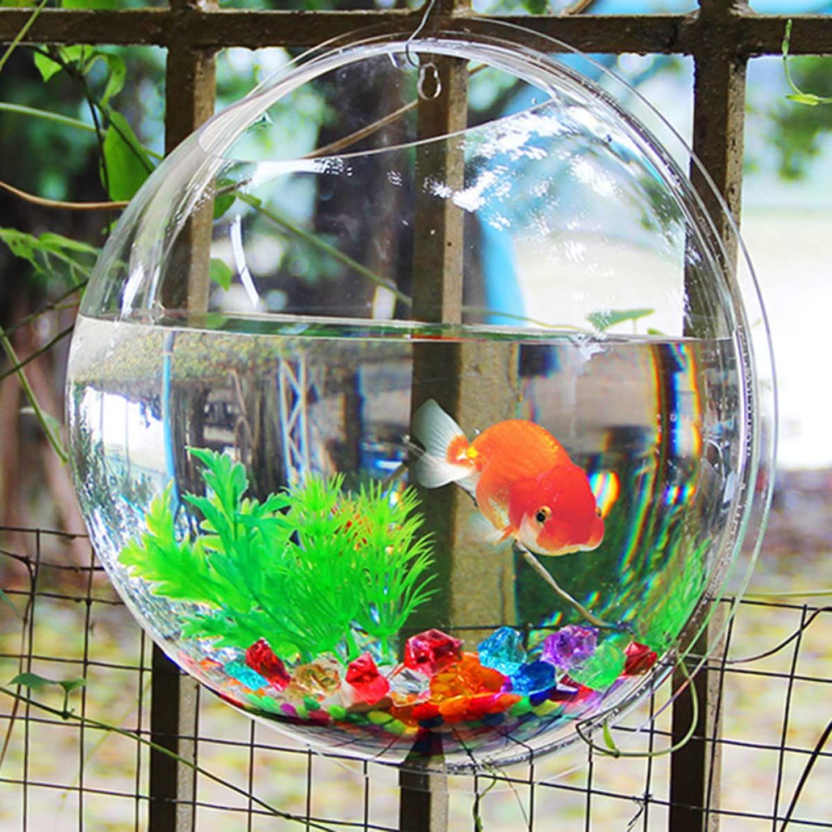 金魚鉢-