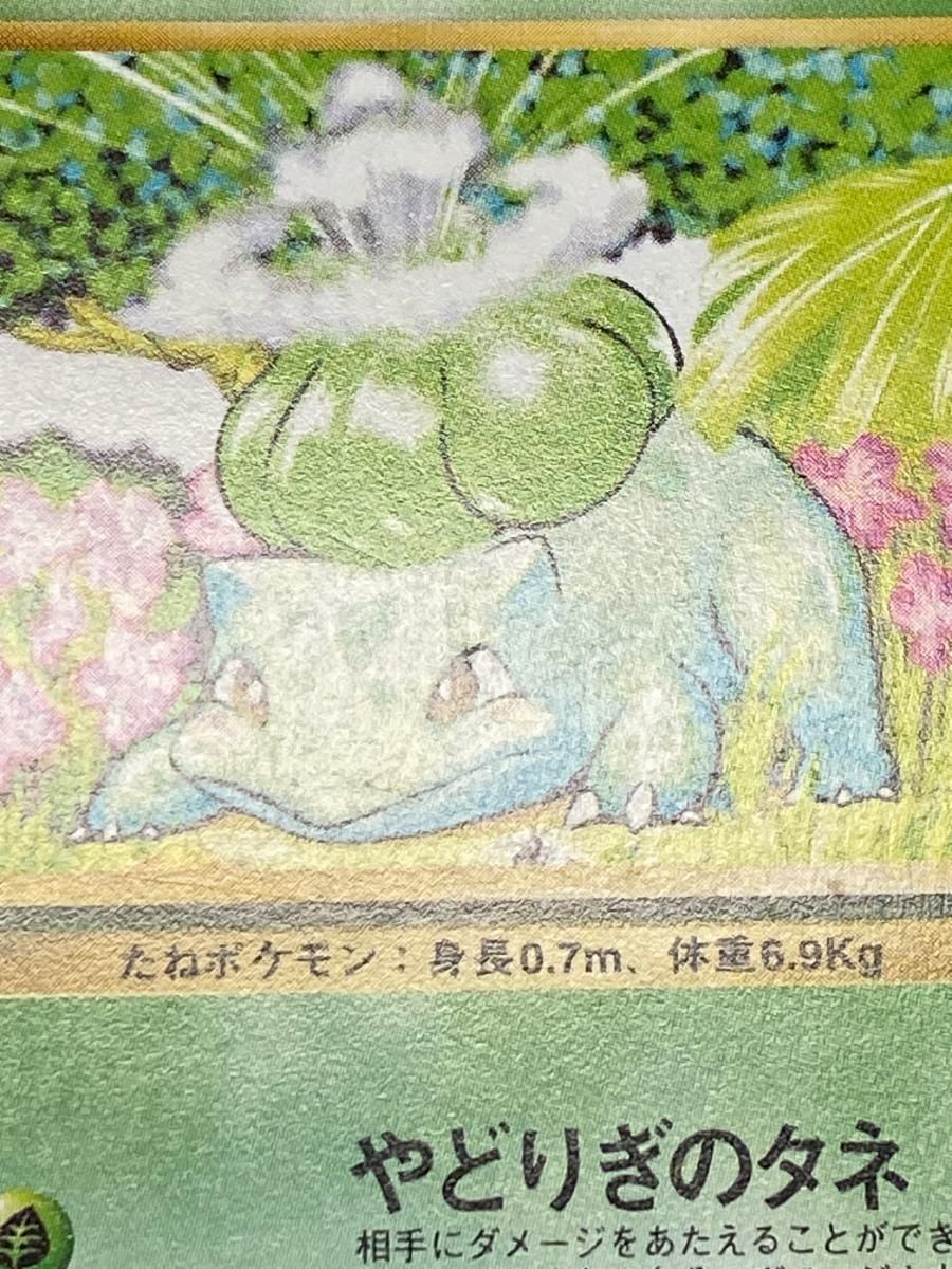 【美品・初版】フシギダネ ポケモンカード 旧裏 フシギダネ 初版 マークなし プロモ レア