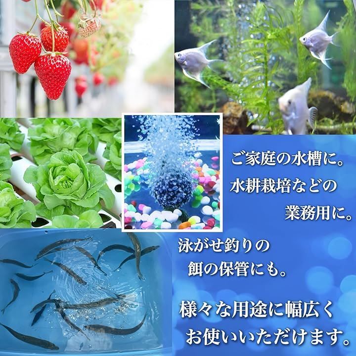 エアー ストーン 水槽 釣り 水草 魚 メダカ アクアリウム 水耕栽培 25