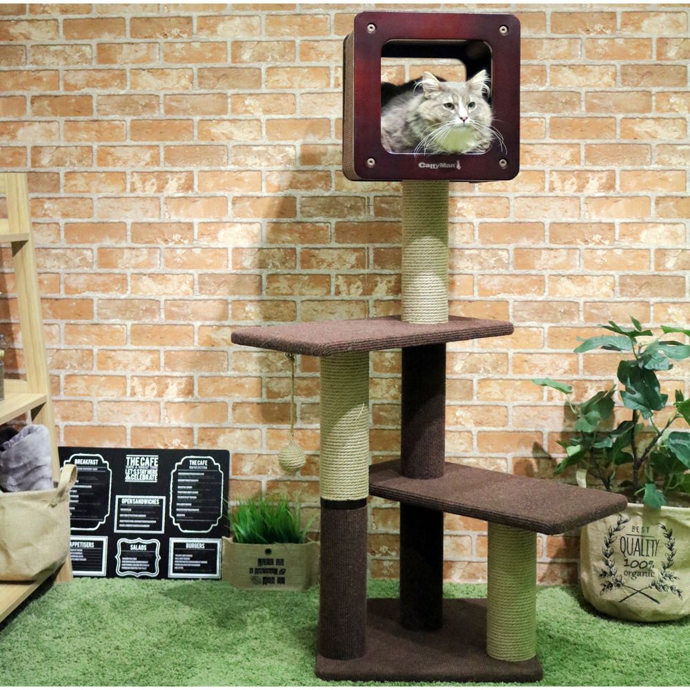 キャティーマン モダンルームスクラッチ ラージH120