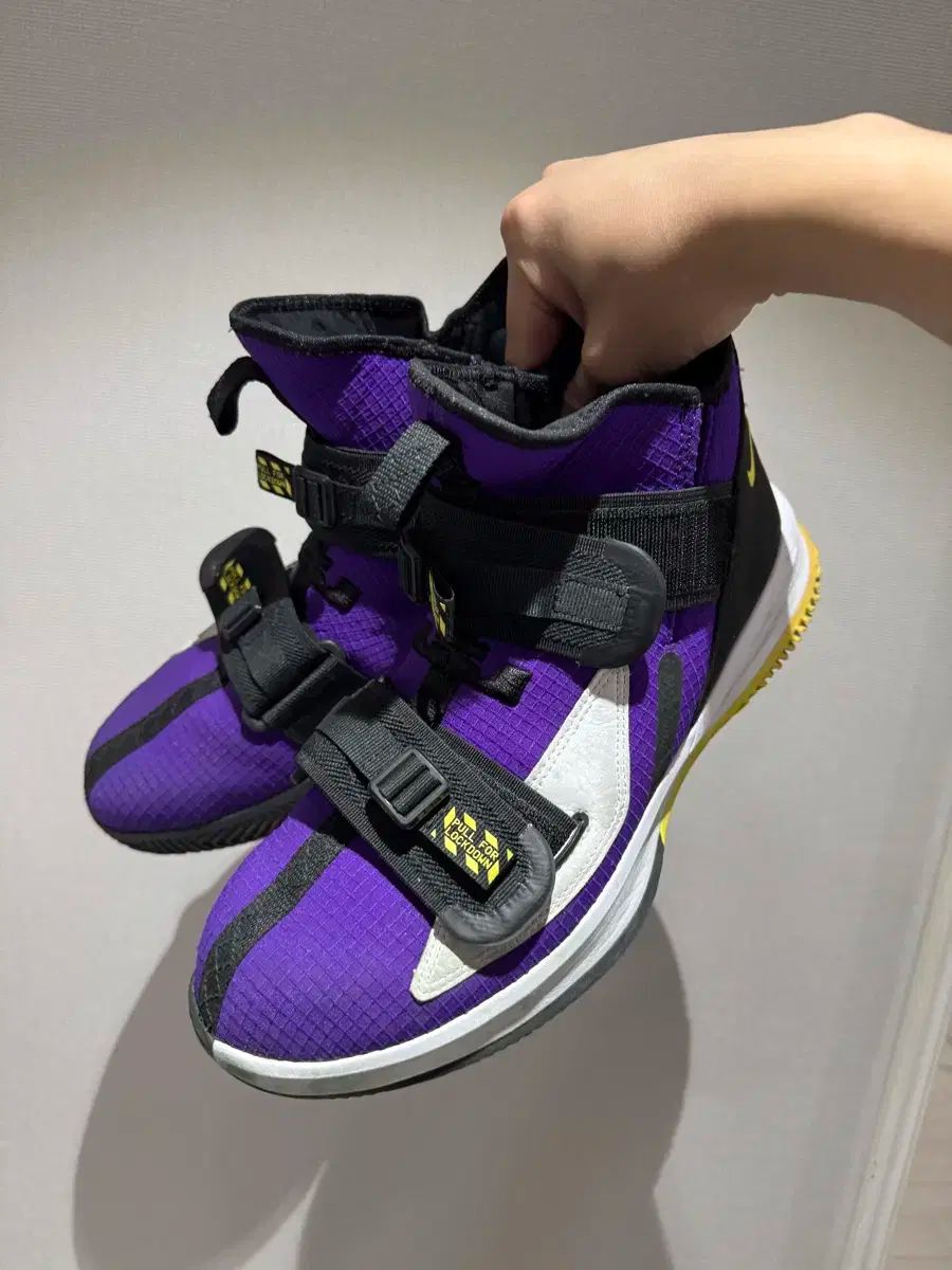 大切な ナイキ レブロン ソルジャー 13 バスケシューズ 直接取引 夢を叶える