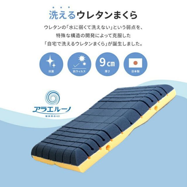脊柱可動モデル】3B Scientificフレッド骨格モデル直立型スタンド仕様