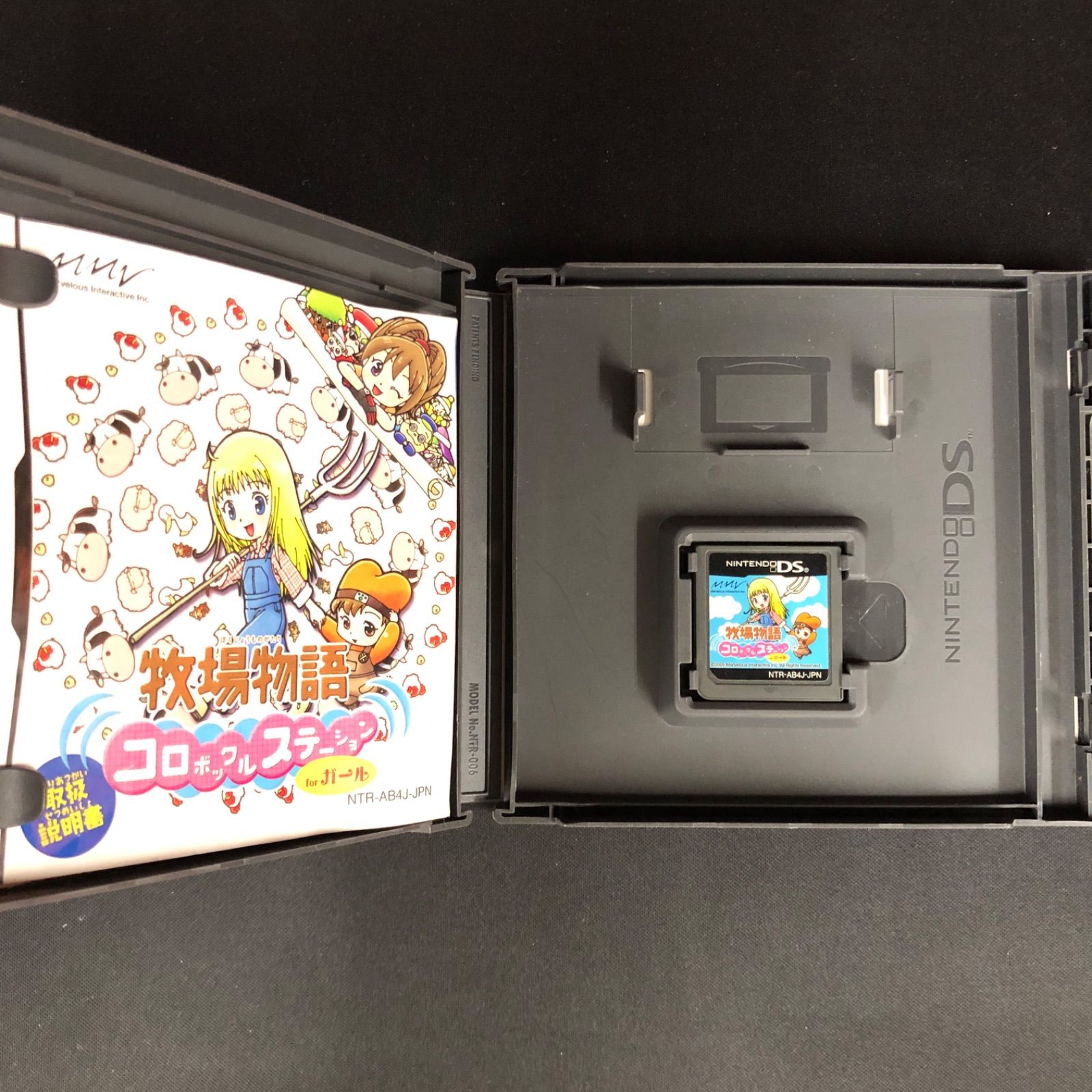 Nintendo 任天堂DSソフト 9点セット 任天堂DS ソフト 9本セット ニンテンドーDS ゲームソフト