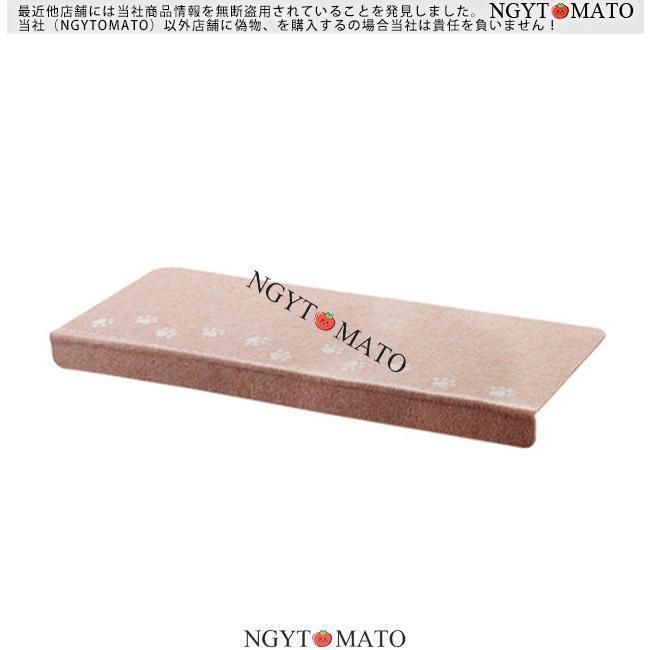 吸着蓄光
