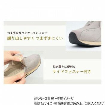 フィル